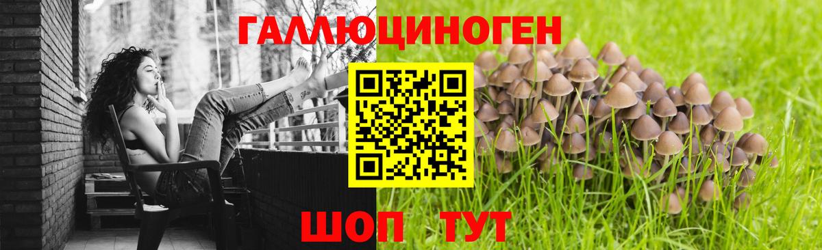 Галлюциногенные грибы мухоморы  Вход с VPN  Горно-Алтайск 